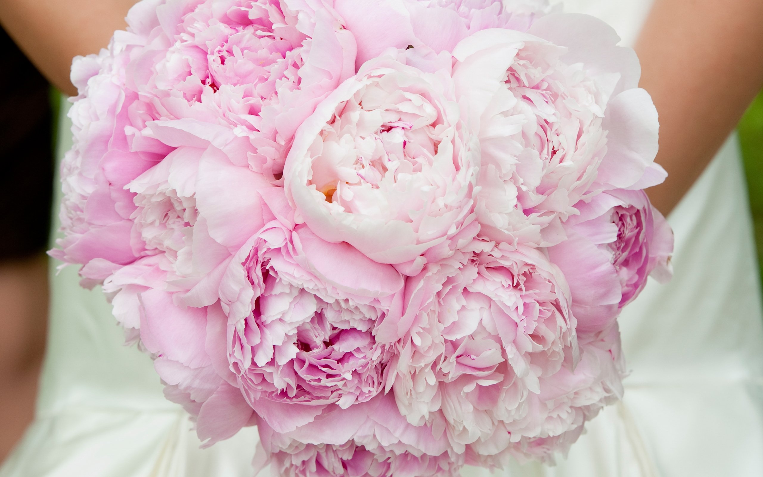 Peony Bouquet Pink