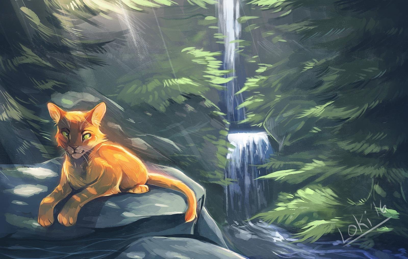 Warrior cats art. Коты Воители Огнезвезд и Звездный Луч. Огнезвёзд коты Воители арт. Коты Воители Огнезвёзд. Коты Воители Варриорс.