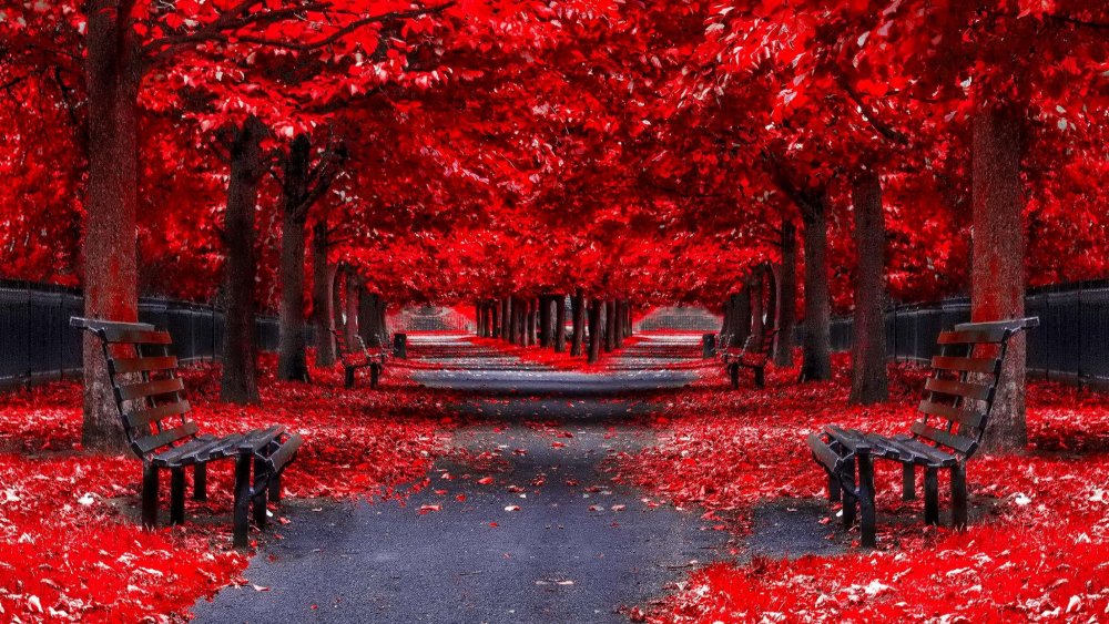 Красный цвет в природе