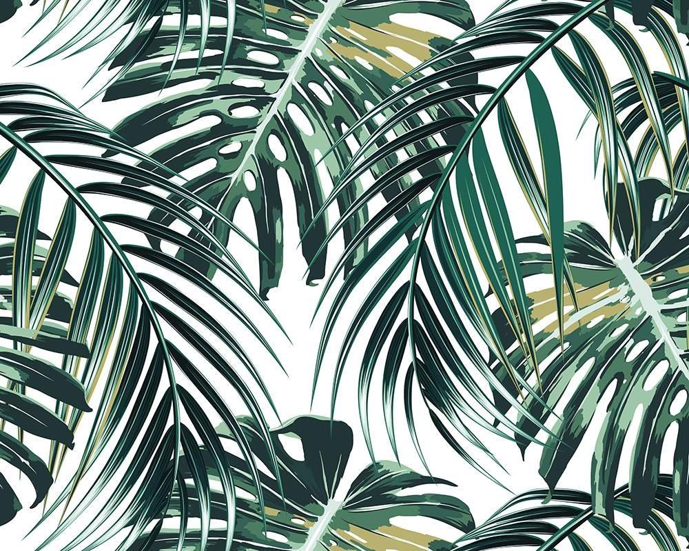 Тропические листья пальмы
