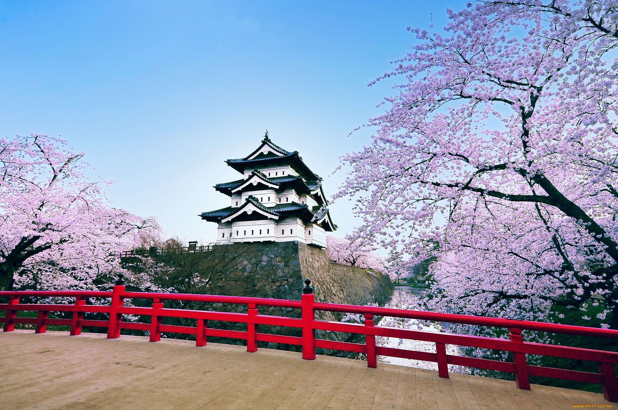 Японский фон. Aomori Япония. Япония Сакура пагода. Япония мост Сакура пагода. Дворец в Японии с сакурой.