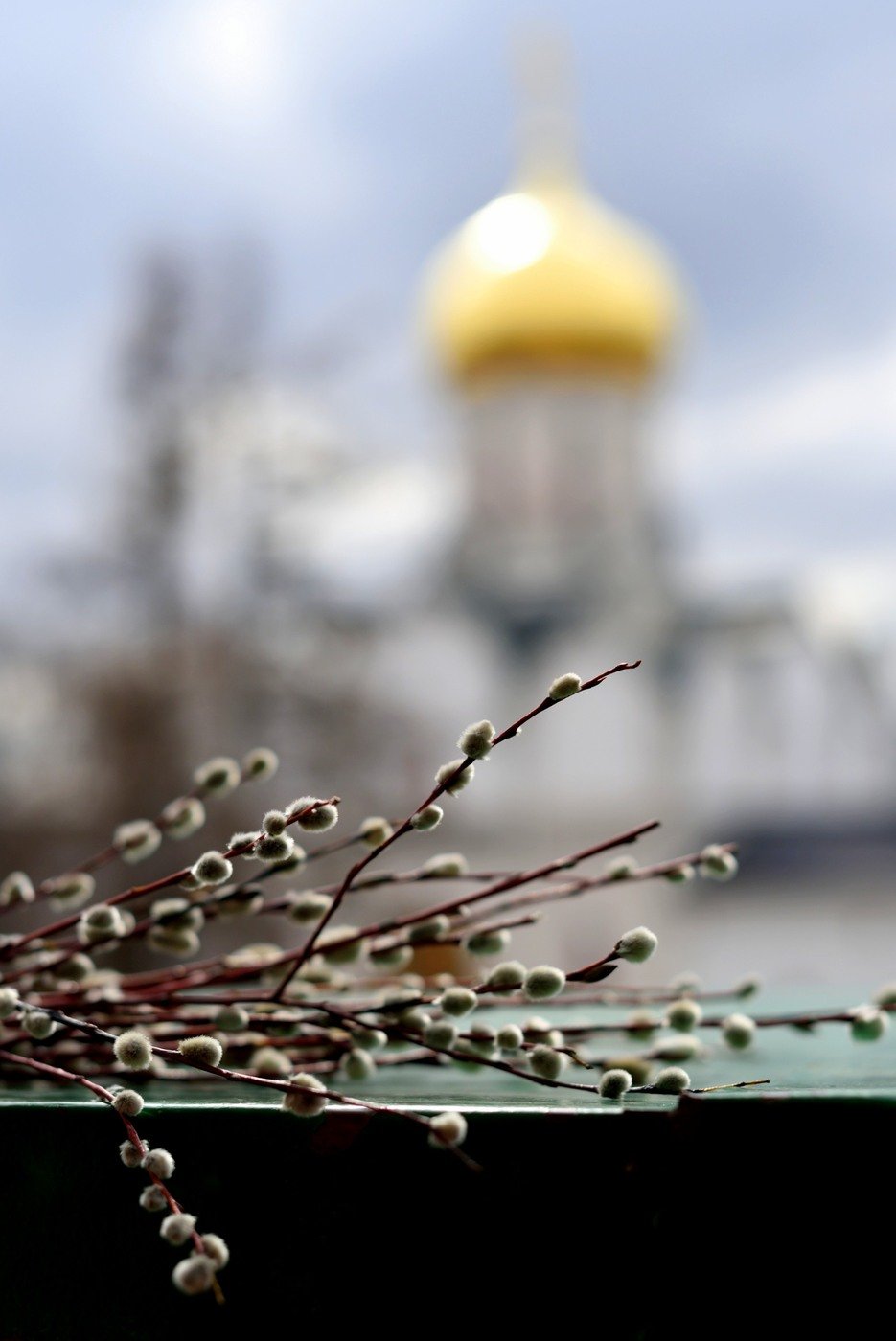 Верба Церковь Вербное Воскресение