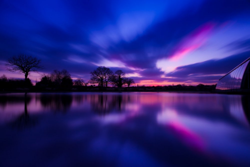 Красивая природа в фиолетовых тонах