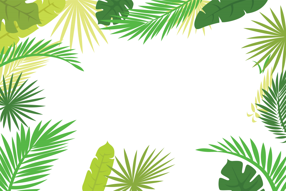 Рамка из пальмовых листьев