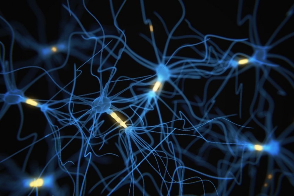 Нейронные связи головного мозга
