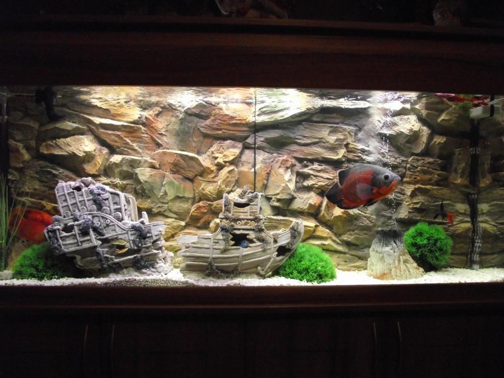 Объемные стенки аквариума