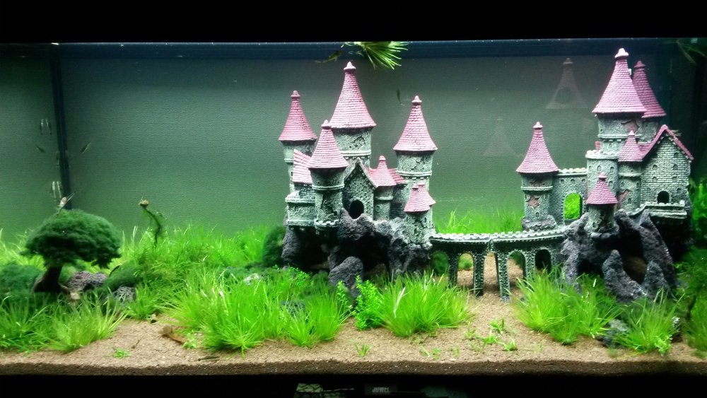 Красивый аквариум с замком