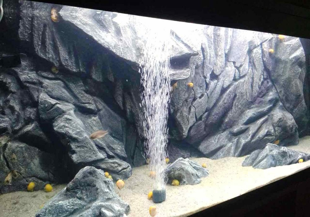 Объемный фон в аквариум из пенопласта