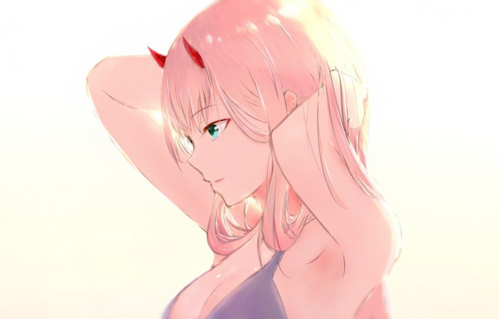 Zero two Франкс