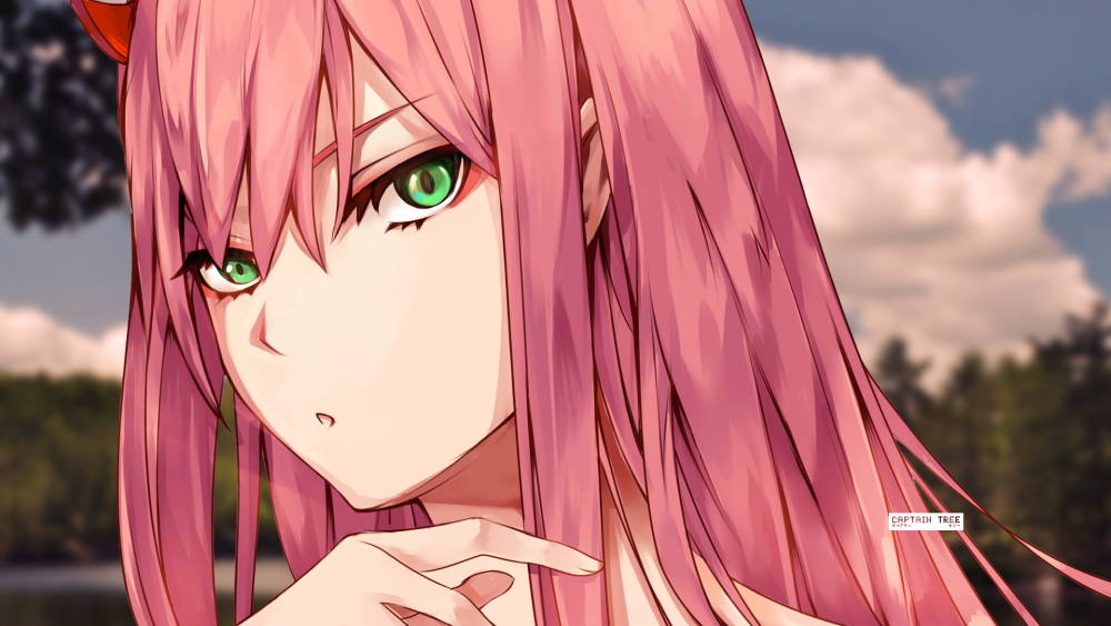 Zero two 4k