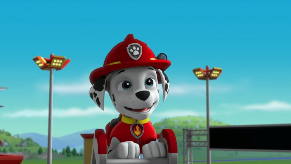 Paw Patrol ready Race Rescue