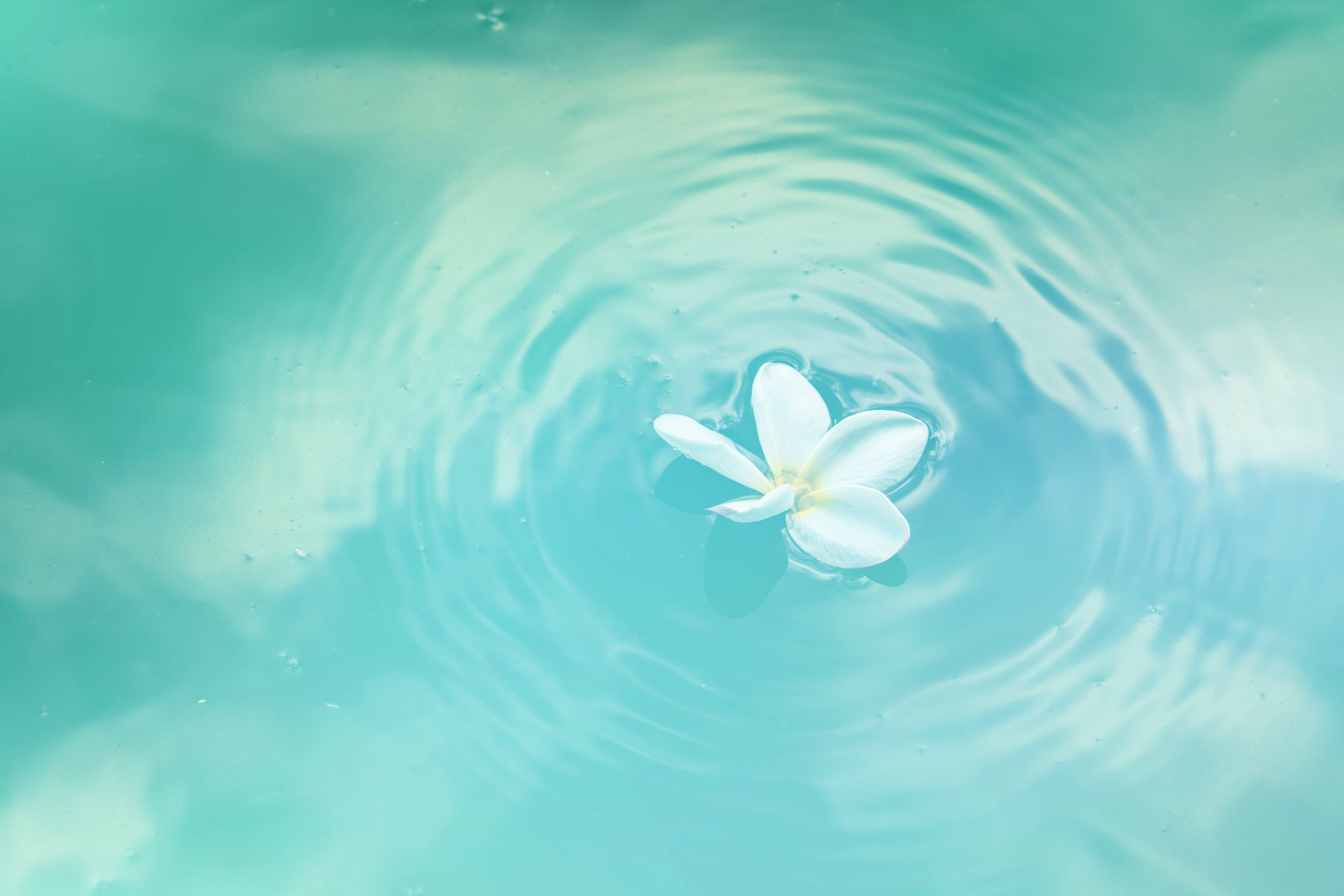 Цветок из воды