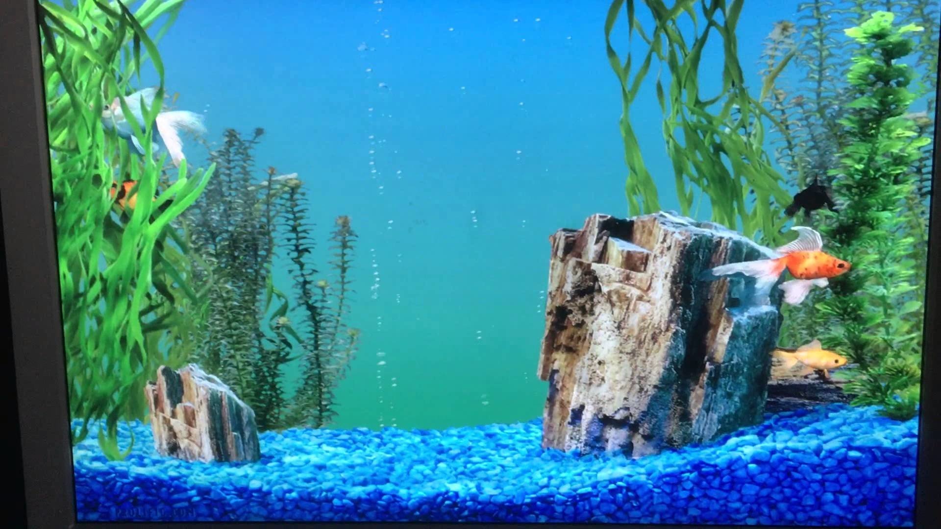 аквариум оформление задней стенки