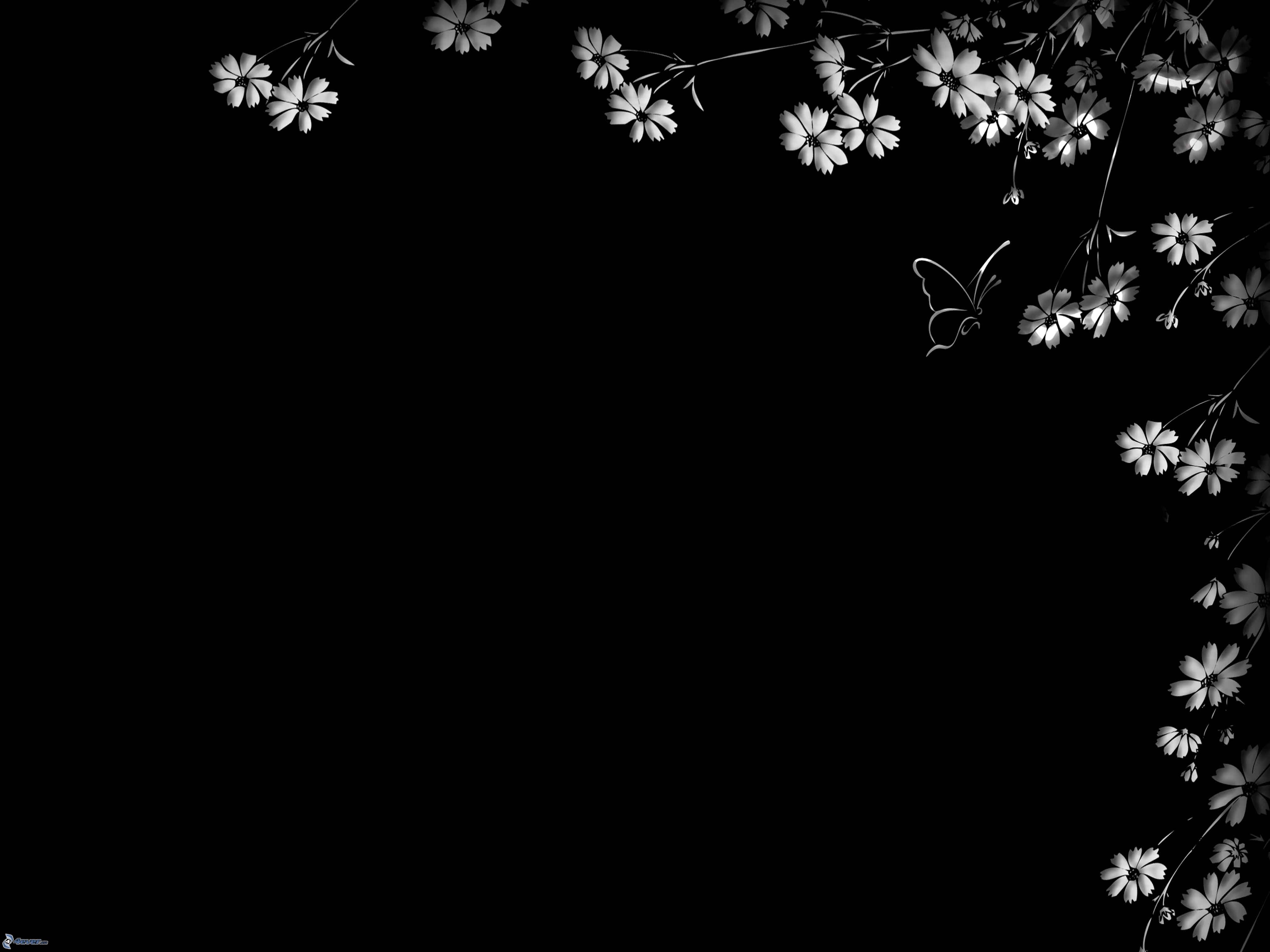 Мелкие цветочки на черном фоне