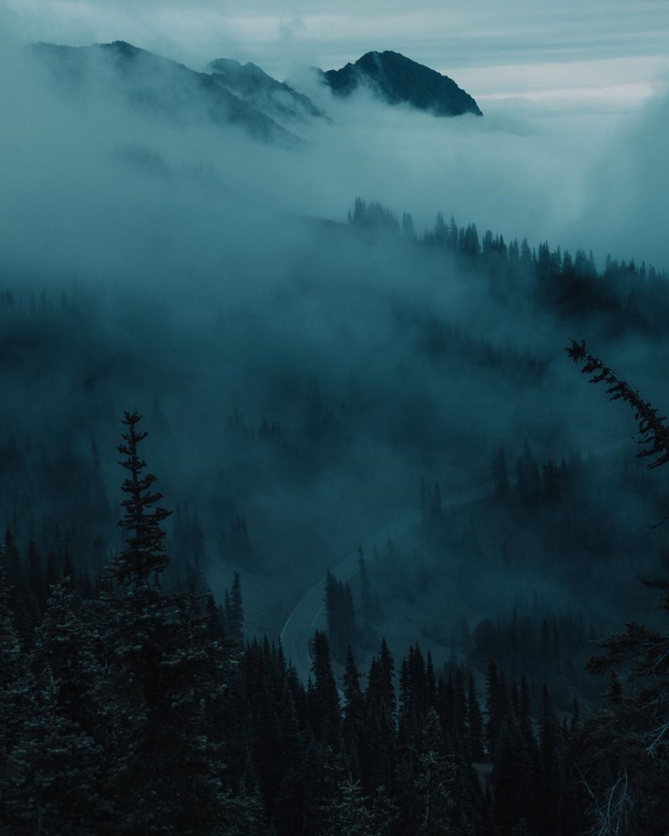 Pacific Northwest туман горы
