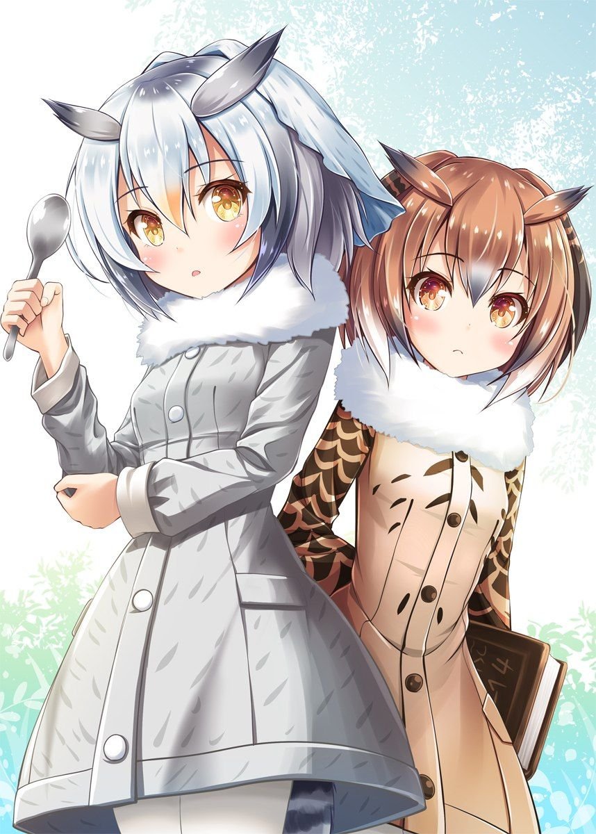 Аниме Kemono friends Northern White-faced Owl