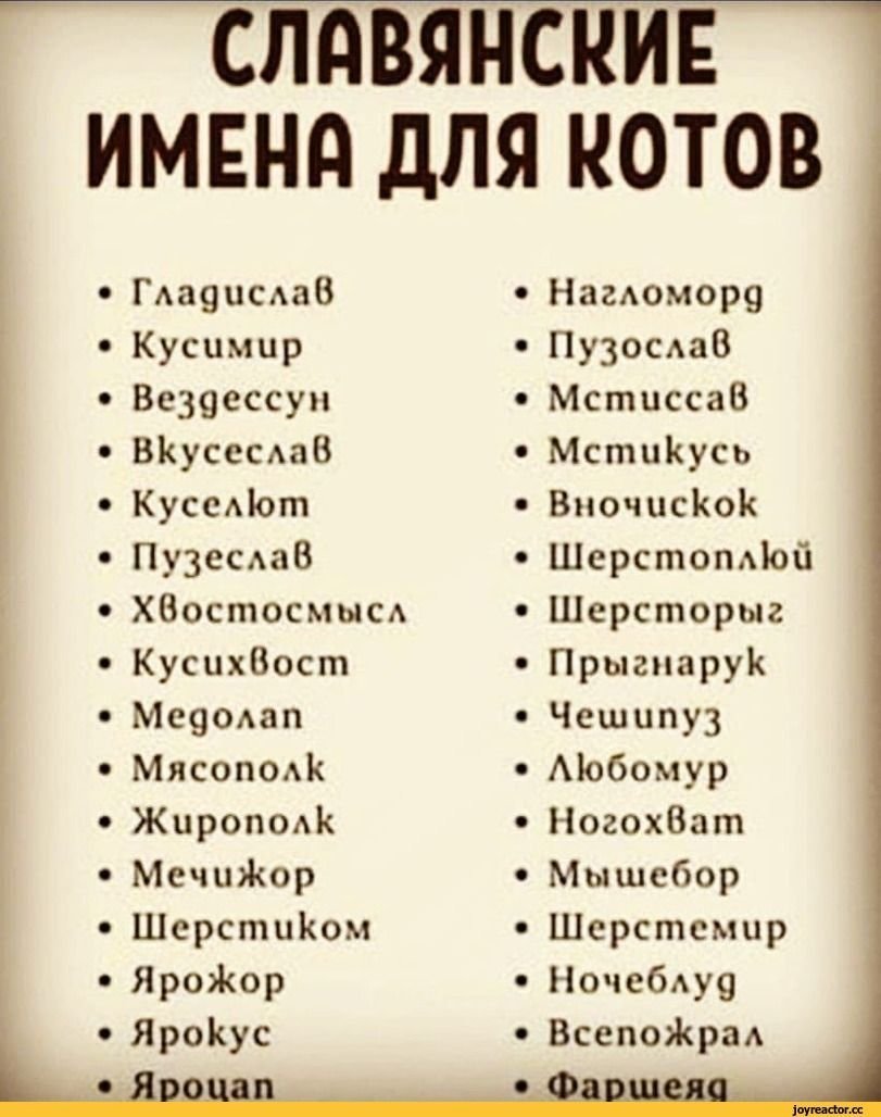 Самые <b>смешные</b> <b>имена</b>.