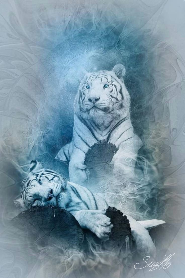 Белый тигр арт