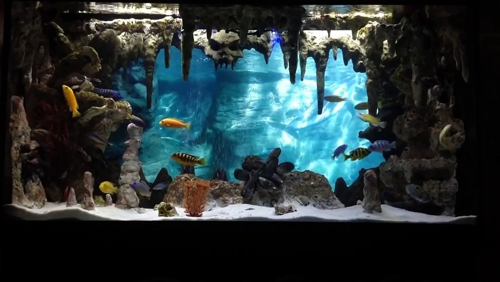 Объемные декорации для аквариумов