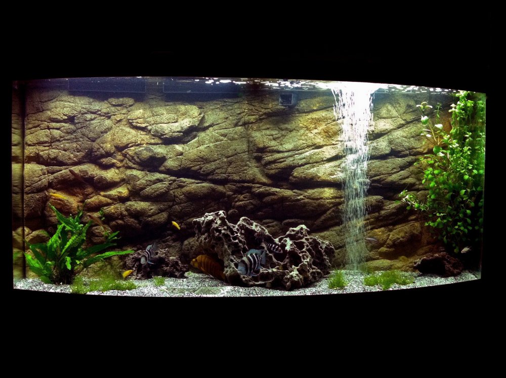 Объемный задний фон для аквариума