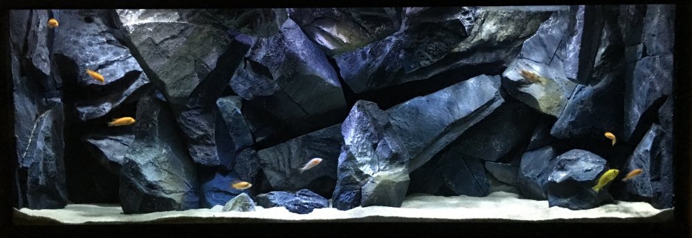 Задний фон для аквариума скалы