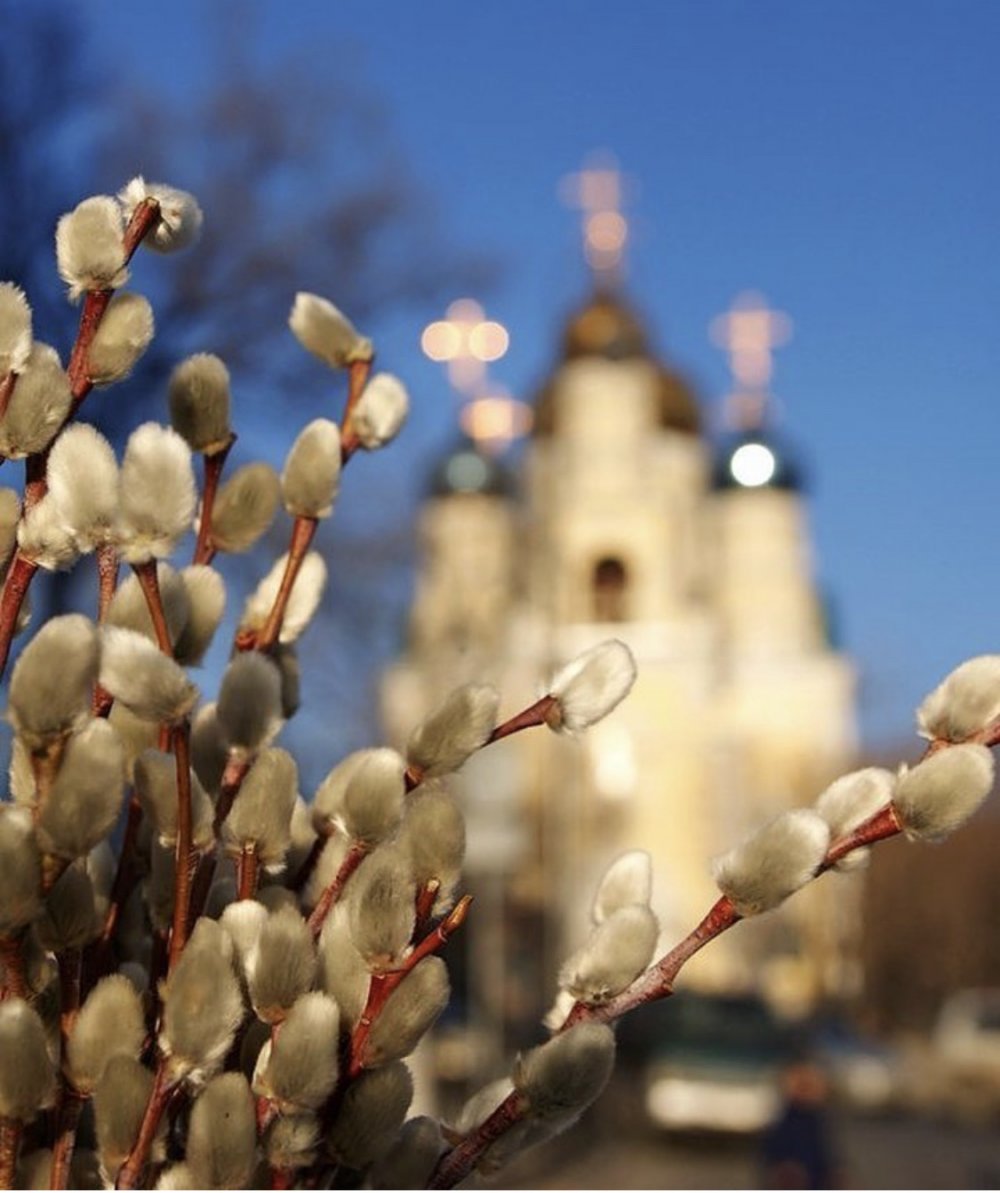 Крупин Вербное воскресенье