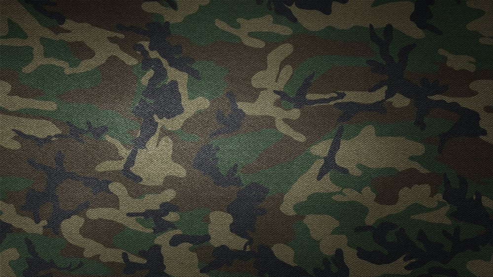 Woodland Camouflage pattern