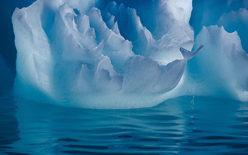 Айсберги Северного Ледовитого океана
