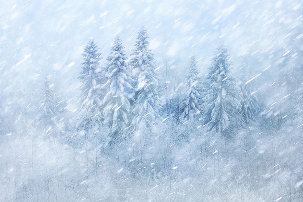 Снежный лес рисунок вьюга