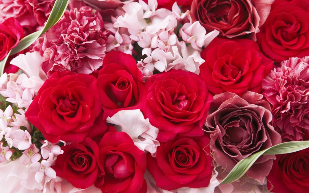 Красно розовые цветы
