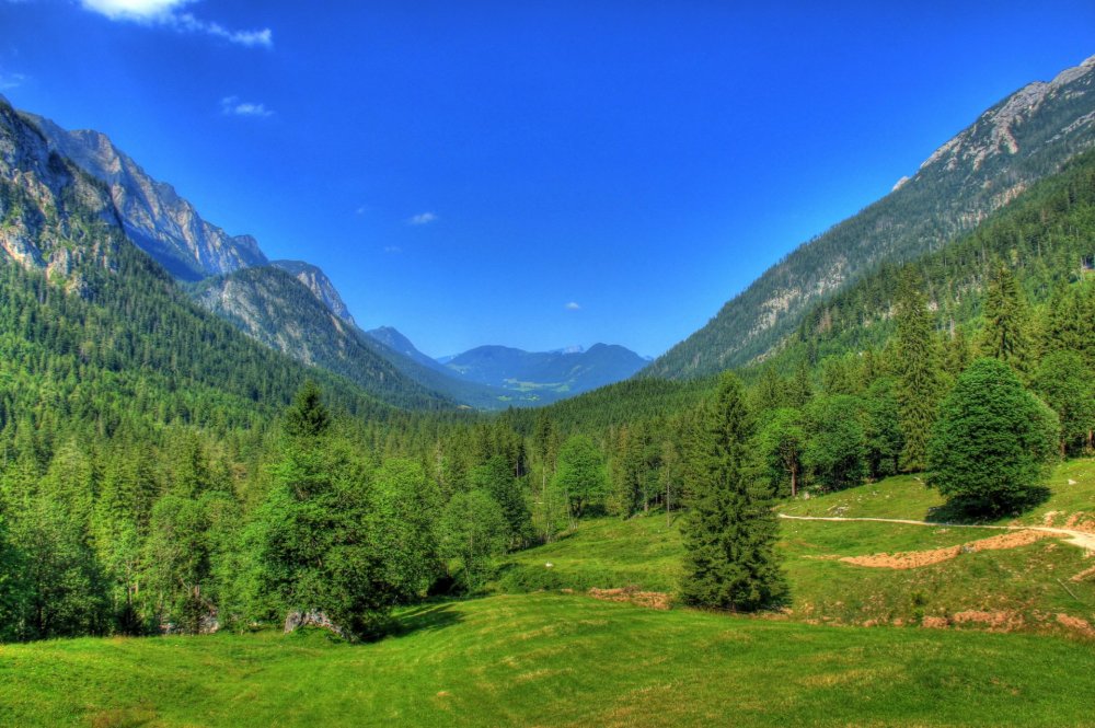 Бавария Германия баварский лес