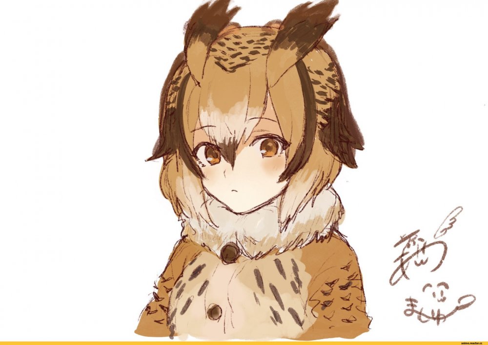 Kemono friends Совы