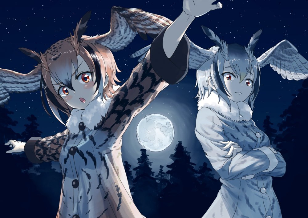 Kemono friends Совы