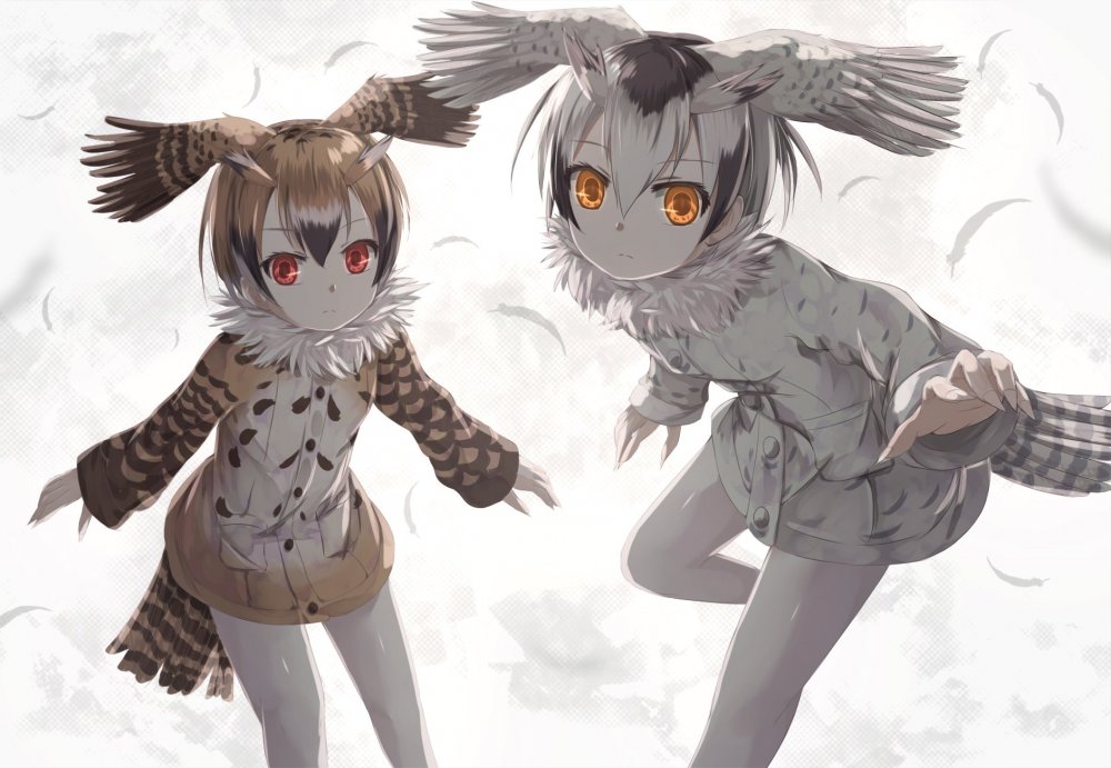 Аниме Kemono friends Northern White-faced Owl