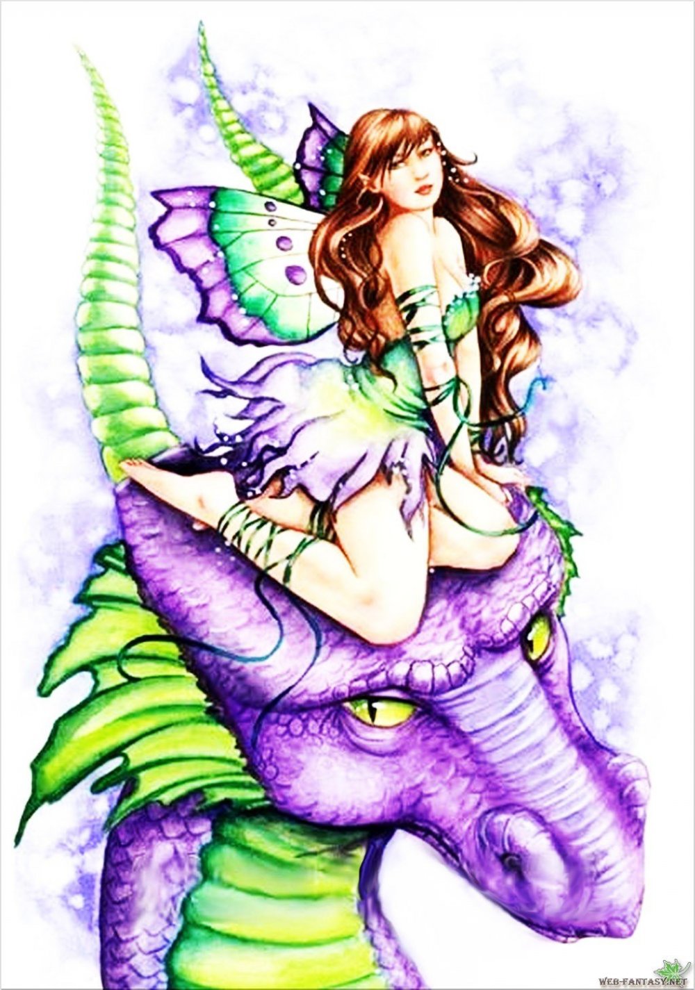 Фея с драконом иллюстрация