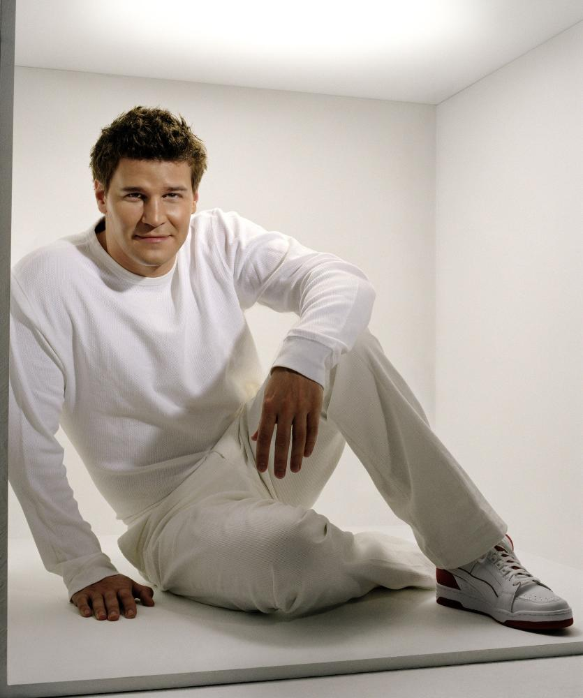 David Boreanaz