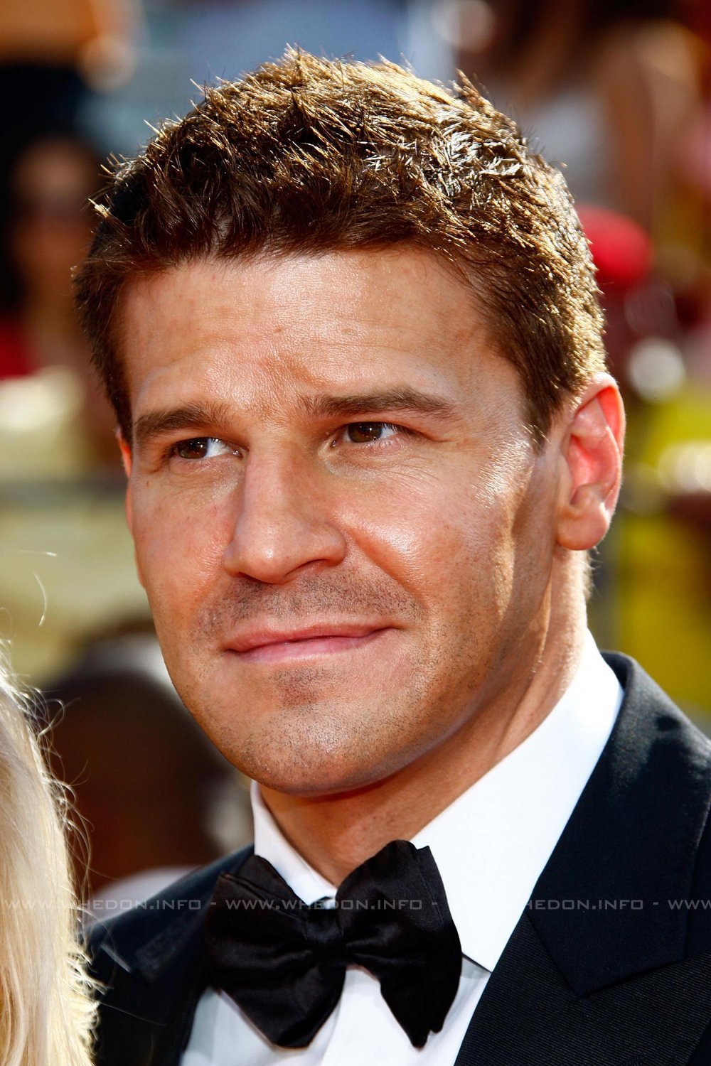 Boreanaz 2021 David