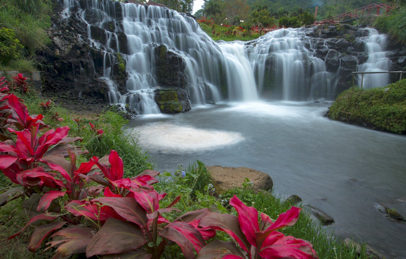 Водопад с цветами