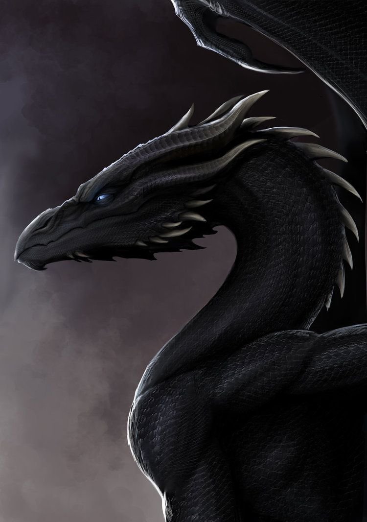 Гебридский чёрный дракон