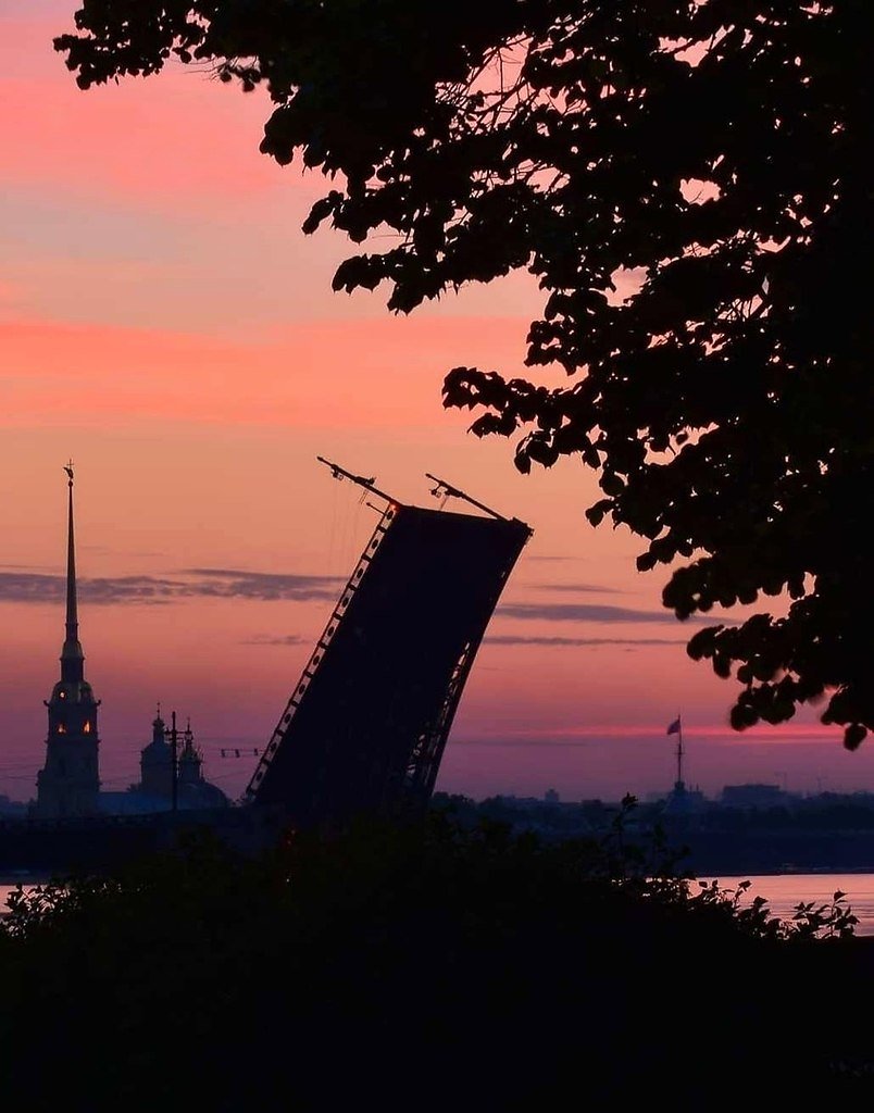 Фото белых ночей в петербурге