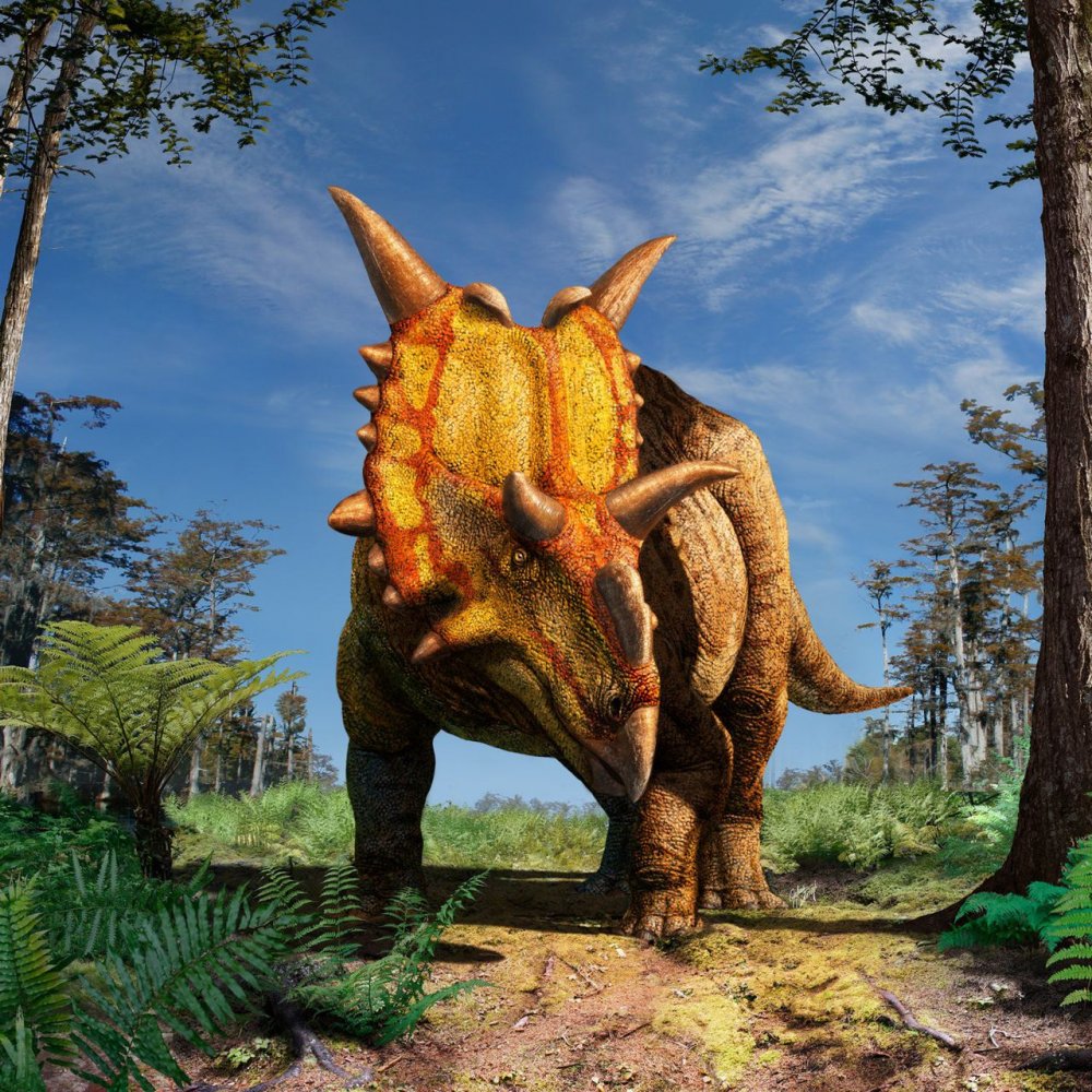 Ксеноцератопс (Xenoceratops)