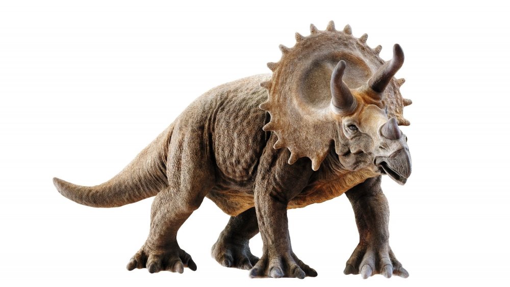 Динозавр Triceratops