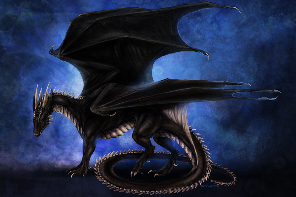 Чёрный драконид