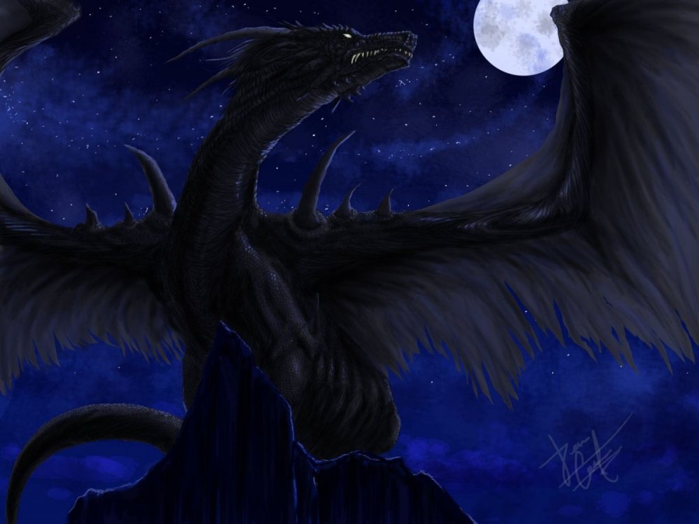 Драконы ночи