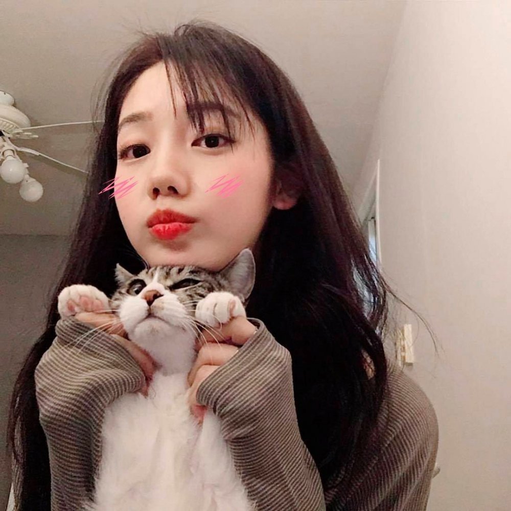 Корейская девушка с котом