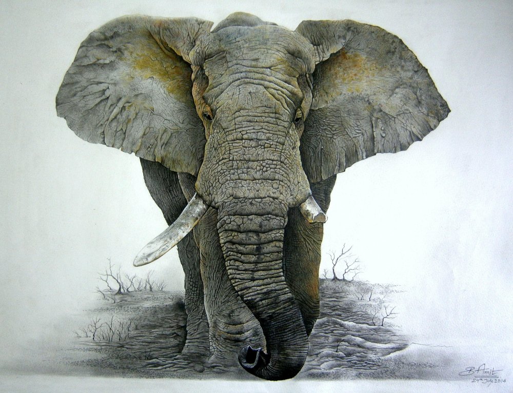 Слоны арт
