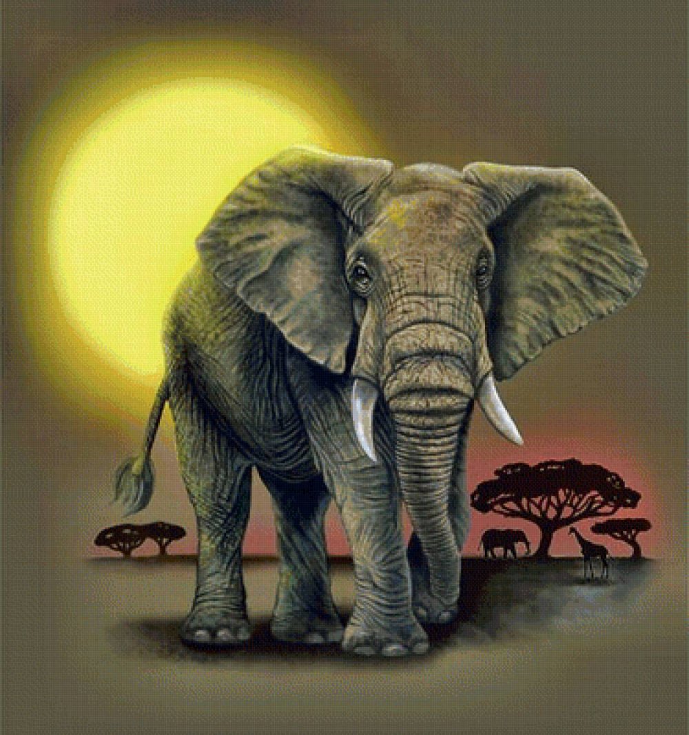 Изображение слона
