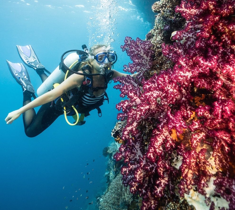 Подводное плавание в море