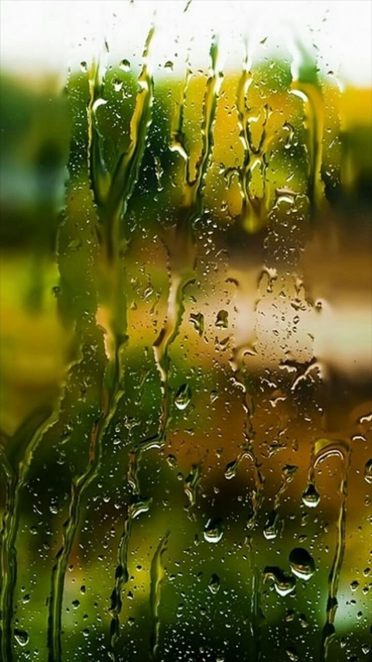 картинки на телефон дождь природа