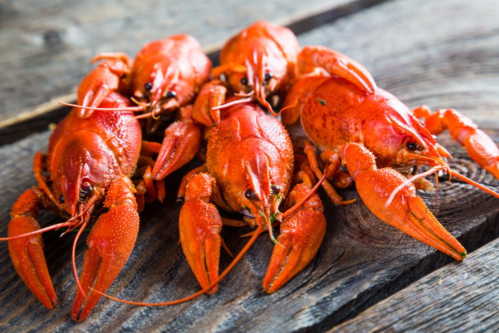 Boiled Crayfish